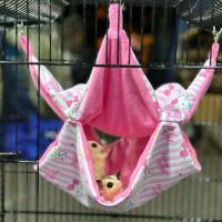 ราคา เปลชูก้า เปลกระรอก2ชั้นจัมโบ้ 30cm.เปลแขวน ที่นอนชูก้า บ้านชูการ์ บ้านกระรอก (51406398783)