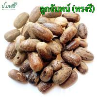 ราคา ลูกจันทน์ — ผลทรงรี [50 / 100 กรัม] ลูกจันทน์แห้ง ลูกจันทน์เทศ ลูกจันทน์ (28482262463)