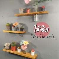 ราคา ชั้นไม้สักวางแจกัน ชั้นวางแคนตัส ไม้สักเคลือบเงา โดนน้ำ ตากแดดได้ (57557925152)
