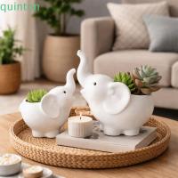 ราคา QUITON เซรามิคกระถางดอกไม้,ช้างรูปร่าง Handmade Succulent กระถางดอกไม้,สร้างสรรค์น่ารัก Minimalist ปฏิบัติช้างแจกันของขวัญ (57557879592)