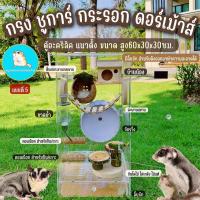 ราคา ตู้No.5 กรงชูการ์ กระรอก ดอร์เม้าส์️ตู้อะคริลิค60x30ซม. /บ้านชูการ์/บ้านกระรอก/บ้านดอร์เม้าส์/กรงกระรอก/กรงชูการ์ (23211226896)