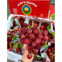 ราคา ส่งด่วน 4 ม. องุ่นแดงไร้เมล็ด ออสเตรเลีย (1กิโล) Premium Red Grape (Australia) ก้านเขียว (องุ่นไร้เม็ด องุ่นนอก องุ่นสด) (52856635284)
