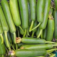 ราคา สดใหม่จากสวน ผักสด- บวบหอมสด เกรดสวย คัดพิเศษ แพคละ 500 กรัม (55055928515)