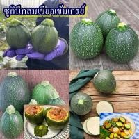 ราคา 7 เมล็ด เมล็ดซูกินีกลมเขียวเข้มเกรย์ (ปลูกง่าย อัตรางอก 85% รสชาติมันๆ หวานหน่อยๆ ผลทรงกลมสีเขียวเข้ม-อ่อน เนื้อในสีขาว) (40822949286)