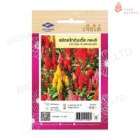 ราคา เมล็ดสร้อยไก่ต้นเตี้ย เจียไต๋ คละสี ขนาดบรรจุ 50เมล็ด (24712343963)