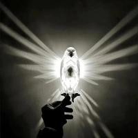 ราคา ฮาโลวีนนกโคมไฟติดผนังนกฮูก Eagle รูปร่างโปรเจคเตอร์โมเดิร์น Creative บรรยากาศ Sconce Light 3D พิมพ์สัตว์แสง Lustre (43105242875)