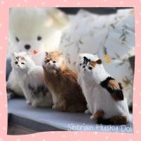 ราคา พร้อมส่ง ตุ๊กตาแมว แมวจำลอง แมวเหมือนจริง เปอร์เซีย แมวขาว แมวดำ แมวสามสี โมเดลแมว รูปปั้นแมว ทาสแมว คนรักแมว น่ารัก (3333146735)