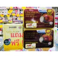 ราคา หลินจือ พลัส ชิตาเกะ 1375mg 60 caps (Lingzhi Plus Shitske)ทุก กล่อง แถมฟรี! คลอลาเจนพรีเมี่ยม 1 กล่อง มูลค่า 500฿ (911364091)
