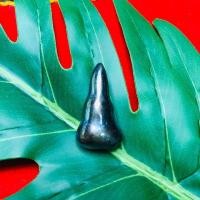 ราคา เหล็กไหล สีปีกแมลทับ เหล็กไหลเงินยวง พรรณสัณฐานทรงพระพ (26392004154)