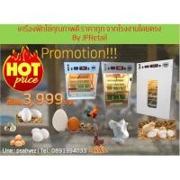 ราคา เครื่องฟักไข่ ตู้ฟักไข่ ตู้อบไข่ ไข่ไก่ ไข่เป็ด ไข่นกกระทา กลับไข่อัตโนมัติ ควบคุมอุณหภูมิ ระบบอัตโนมัติ อัตราฟักสูง (9248919698)