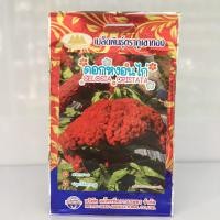 ราคา ดอกหงอนไก่ ภูเขาทอง (11800214078)