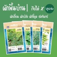 ราคา เมล็ดผัก ผักพื้นบ้าน เมล็ดผักเสี้ยน ผักเสี้ยน ผักปลัง ผักขี้หูด ชมจันทร์ ฟักทอง ทอดยอด | เจียไต๋ เมล็ดพันธุ์ผัก ปลูกผัก (8114895546)