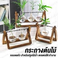ราคา กระถางต้นไม้ Garden Glass Eden กระถางพลูด่าง มี 3 แบบ กระถางต้นไม้น้ำ กระถางไม้น้ำ ปลูกไม้น้ำ ตกแต่งโต๊ะทำงาน กระถาง (6137278956)