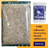ราคา ข้าวโอ๊ต สำหรับเลี้ยงนก (2926614007)
