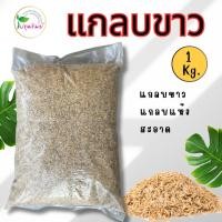 ราคา แกลบขาว แกลบแห้ง ขนาด 1 กิโลกรัม (50906194129)