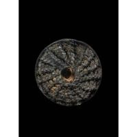 ราคา ตะกรุดลูกกรองใบลาน หลวงพ่อแก้ว วัดพวงมาลัย หลวงพ่อแก้ว เป็นผู้มีชื่อเสียงโด่งดังในเรื่อง ตะกรุด ที่ทำจาก ใบลาน รวมทั้งเห (27261442352)