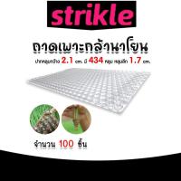 ราคา ถาดเพาะกล้านาโยน มี 2 แบบให้เลือก 434 หลุม และ 561 หลุม จำนวน 100 ชิ้น ถาดเพาะต้นข้าว ถาดเพาะนาโยน เพาะกล้าข้าว (25731810722)