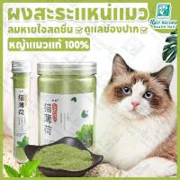 ราคา แคทนิปแมว กัญชาแมว แบบผงบดละเอียด จาก catnip 100% หญ้าแมวบำรุงแมวอ้วน ตำแยแมว ราคาถูก (42206197463)