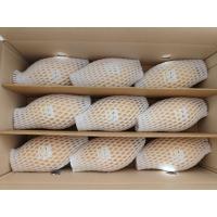 ราคา มะม่วงน้ำดอกไม้สีทองคัดพิเศษ (57257989568)