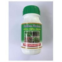 ราคา Golden Flowers ปุ๋ยสูตร เร่งใบเร่งต้น (ชนิดน้ำ 250cc.) (4931714910)