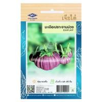 ราคา เมล็ดพันธ์ุ มะเขือเปราะจานม่วง 1 กรัม (200 เมล็ด)/ซอง ตราเจียไต๋ (1548573976)