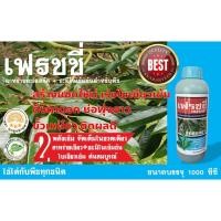 ราคา ปุ๋ย อาหารเสริมพืช สาหร่ายทะเลสกัด+อะมิโนเข้มข้นสำหรับพืช เฟรชชี่ สูตรเข้มข้น (22086181816)