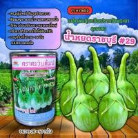 ราคา เมล็ดพันธุ์มะเขือ น้ำหยดราชบุรี #29 ขนาด 20-50 กรัม (4015187898)