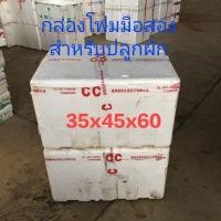ราคา กล่องโฟมมือสอง ลังโฟมมือสอง ใช้สำหรับปลูกผัก (16387029174)