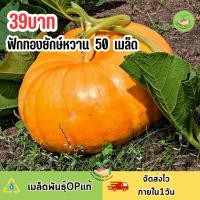 ราคา เมล็ดพันธุ์ฟักทองยักษ์ 50 เมล็ด (43179402751)