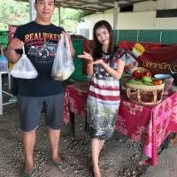 ราคา ชุดเดรสแต่งลายสกรีนธงชาติสหรัฐ (1574956419)