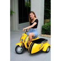 ราคา มอเตอร์ไซค์ไฟฟ้า 3 ล้อ รถไฟฟ้าพ่วงข้าง Champ Auto (4683818957)