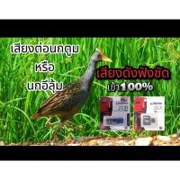 ราคา เสียงนกตูมหรือนกอีลุ้ม สามารถเปิดวนได้ทั้งวันทั้งคืน เสียงดังฟังชัดเข้า100% (22950170074)