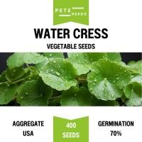 ราคา เมล็ดพันธุ์ วอเตอร์เครส (Water Cress) (41806585716)