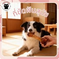 ราคา กระดูกวัวอบแห้งแท้ กระดูกอบ ขนมสุนัข ขัดฟัน ลดกลิ่นปาก ของทานเล่นสุนัข ขนาดใหญ่ 18–20 ซม. (43270710832)