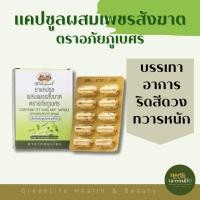 ราคา อภัยภูเบศร SET 10 แผง ยาแคปซูล ผสม เพชรสังฆาต (ขนาด 10 แคปซูล/แผง) (44365745507)