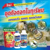 ราคา ปุ๋ยเกล็ด 9-19-34 ขนาด 1 กก. + โอตาด ขนาด 1 ลิตร +คาร์บามิน ขนาด 1 ลิตร (25611972350)