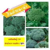 ราคา เมล็ดพันธุ์ บรอคโคลี่ วอลแทม 29 - Waltham 29 Broccoli 400 เมล็ด บร็อคโคลี่ รสชาติดี ปลูกง่าย นำเข้าจาก #USA (5135712808)