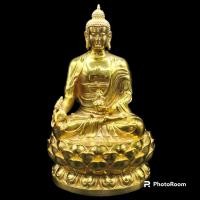 ราคา พระไภษัชยคุรุพุทธเจ้า อารามวัตรมหายาน มูลนิธิพุทธจักษุวิชชาลัย ทางอาราม จึงจัดสร้าง พระไภษัชยคุรุพุทธเจ้า หน้าตัก9 ซม.สู (19693258715)