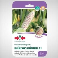 ราคา ข้าวโพดข้าวเหนียวF1เหนียวหวานทับทิม 80 เมล็ด ศรแดง (23261751970)