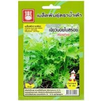 ราคา เมล็ดผักกาดเขียวน้อยใบสร้อย สร้อยทิพย์ ตราน้ำเต้า (44553278703)