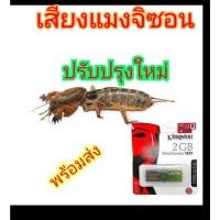 ราคา เสียงแมงจิซอนบันทึกเสียงในแฟลชไดร์ฟUSB (27392558588)