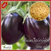 ราคา 200 เมล็ด มะเขือม่วงยักษ์ เมล็ดมะเขือม่วงยักษ์ เมล็ดมะเขือยักษ์ เมล็ดมะเขือม่วง มะเขือม่วง (29321330824)