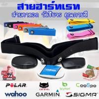 ราคา อะไหล่ สายคาดอก สายรัด วัดชีพจร Garmin polar wahoo Bryton HeartRate Heart Rate Monitor ที่เสีย ยืด ไม่วัดหัวใจ ราคาถูก (1046390575)