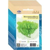 ราคา เมล็ดพันธุ์ ผักกาดหอมเมล็ดขาว เจียไต๋ ยกห่อ (10 ซอง) ราคาส่ง (44003307197)