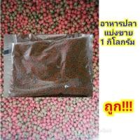 ราคา อาหารปลาแบ่งขาย (1กิโลกรัม) ***ถูก!!!พร้อมส่ง*** (6917677375)