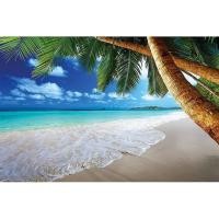 ราคา ชายหาดปาล์ม? รูปภาพตกแต่ง Caribbean Dream Bay Tropical Paradise Coconut Trees Ocean Vacation Blue ภาพตกแต่ง Murano Wall Pictures... ศิลปะในฝนฤดูใบไม้ผลิ (42478521433)