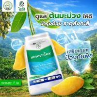 ราคา แอนทราโคล (โพรพิเนบ 70% WP) ขนาด 1kg กำจัดเชื้อรา เป็นสารป้องกันโรคใบจุดสีน้ำตาล(โซตัส) #แอลเจอะโกร (49608241274)