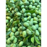 ราคา มะปรางอ่อน เปรี้ยว แซ่บ แถมฟรีพริกเกลือลาว น้ำหนัก 500กรัม((59฿)) (49056115490)