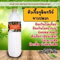 ราคา หัวเชื้อ จุลินทรีย์จาวปลวก สูตรเข้มข้น ตรา Green Park ขวดใหญ่ 1.5 ลิตร ป้องกันเชื้อรา โรครากเน่า หัวเชื้อปุ๋ย ย่อยฟาง (7979340972)