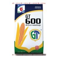 ราคา เมล็ดพันธุ์ข้าวโพดเลี้ยงสัตว์ GT 600/M (3.5หุน) Hybrid seeds (Zea mays) Maize Seeds 10 กิโลกรัม (23618878025)